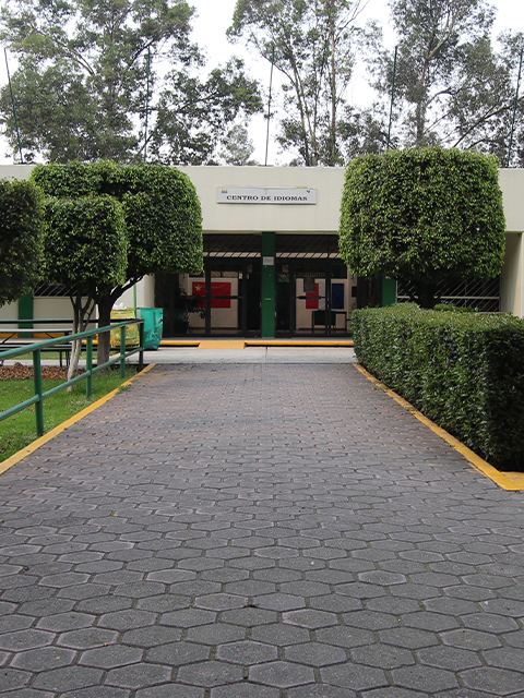 ITTLA SE CONSOLIDA: IMPLEMENTA CENTRO DE IDIOMAS Y AMPLÍA VINCULACIÓN EMPRESARIAL